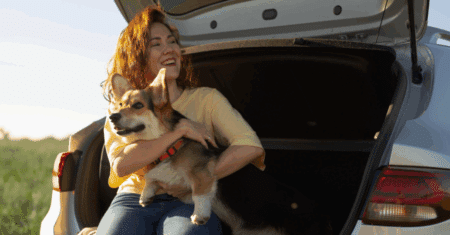 Animais no carro: regras, dicas de transporte seguro e multas que você pode evitar